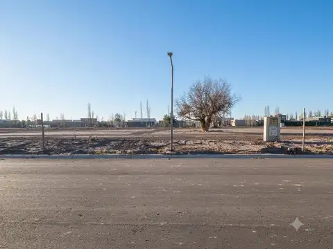 Terreno en Venta de 300,0 m2