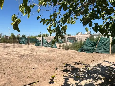 roca 5500, Piso 0