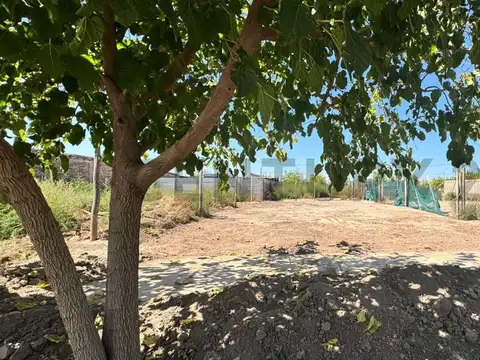 Terreno en Venta de 200,0 m2