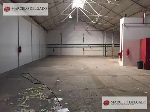 Algarrobo  al 1000