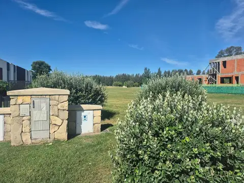LOTE DE 1460 METROS EN VENTA LA PROVIDENCIA