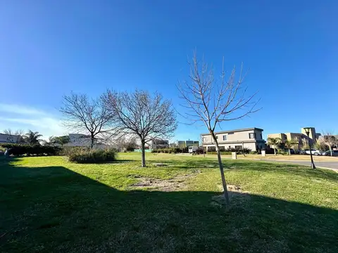 Haras Santa Maria - El Trébol Lote 1550