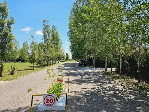 Terreno en Venta en Alejandro Petion, USD 65.000