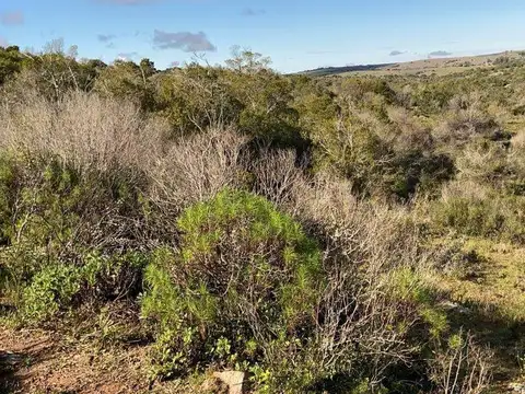 Campo en venta de 3ha ubicado sobre ruta 39 km 61500