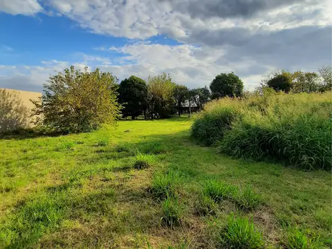 VENTA-LOTES COLONIA CAROYA CALLE 40-ESCRITURAS