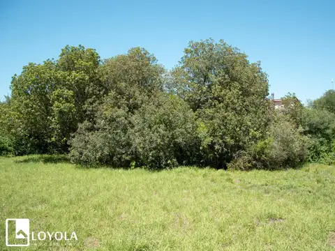 Terreno en Venta, FOS 20