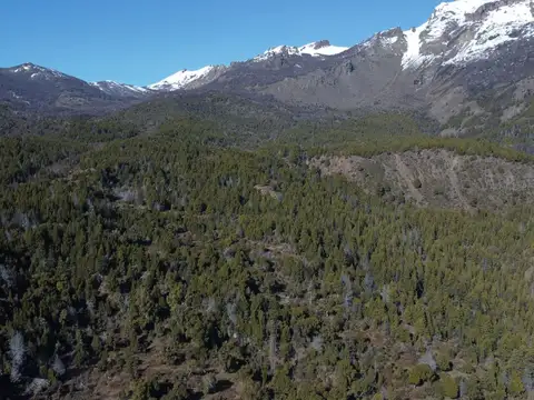 Campo en Venta ? 291 Hectáreas | Villa Lago Rivadavia