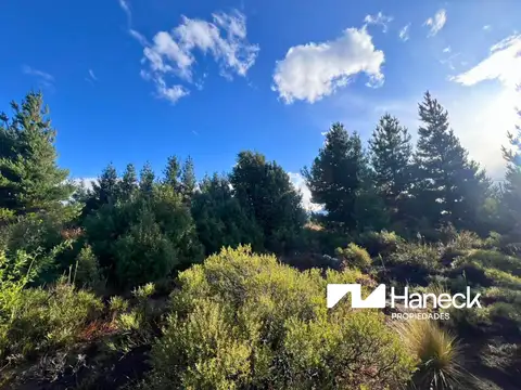 Terreno en Venta 36  mts Fondo