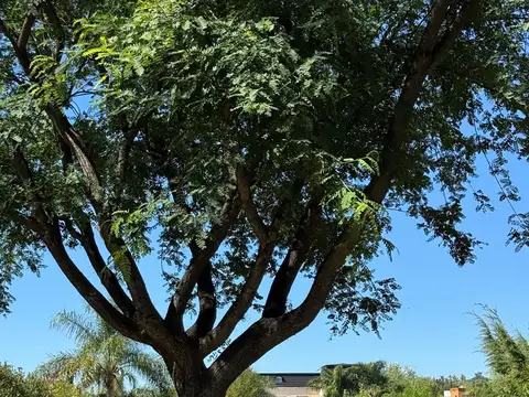 Terreno Lote  en Venta en Santa Clara, Villanueva, Tigre