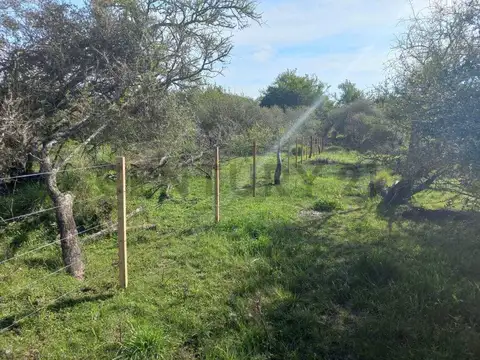Campo en Venta de 119  ha