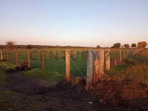 VENTA CAMPO 120 HA LUCAS NORTE, VILLAGUAY, ENTRE RÍOS