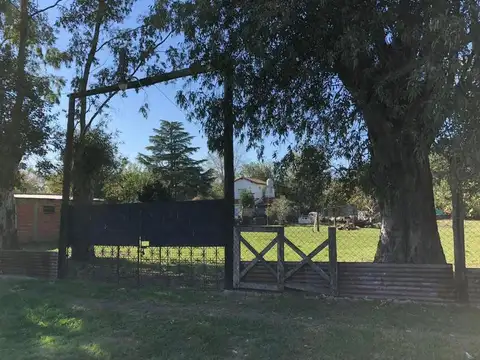 gregoria de matorras 950