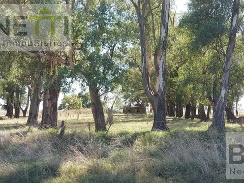 Campo en Suipacha Cuartel X
