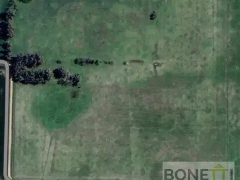 Campo mixto en Suipacha 38 hectáreas en Cuartel X