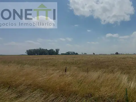 Campo en Suipacha Cuartel X
