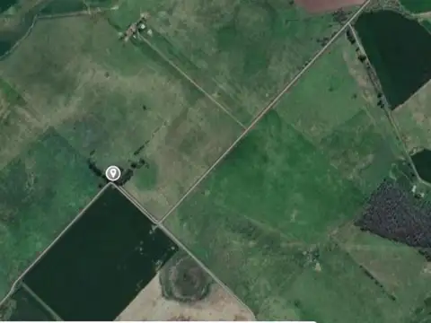 Campo mixto en Suipacha 38 hectáreas en Cuartel X