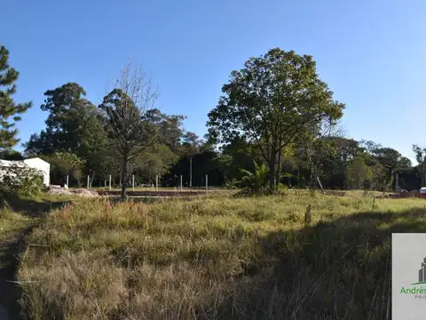 Damián P. Garat, y 25 de Febrero 100