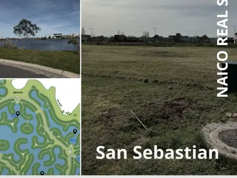 Área 7 - San Sebastian