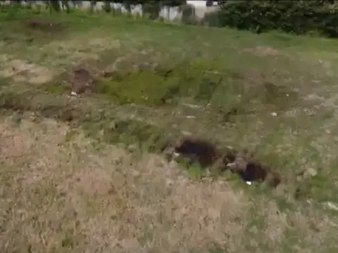 Terreno - San Sebastian