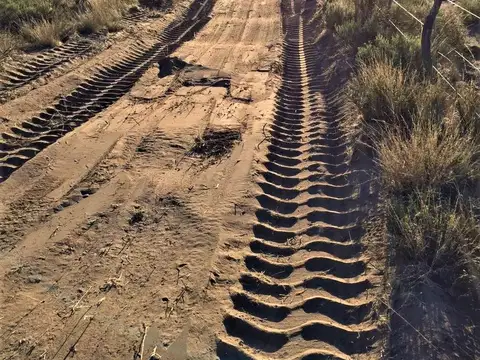 REMAX VENDIMIA VENDE CAMPO GANADERO EN SAN RAFAEL