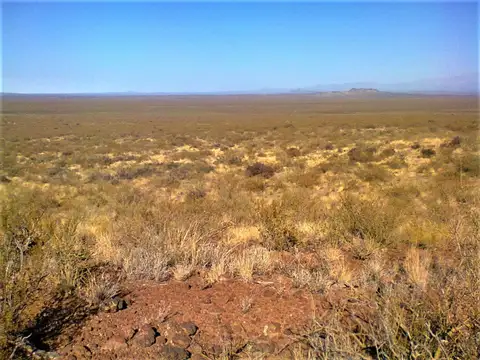 REMAX VENDIMIA VENDE CAMPO GANADERO EN SAN RAFAEL