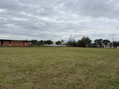 Estacion del Carmen 100