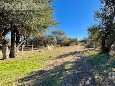 Terreno en Venta 24  mts Fondo