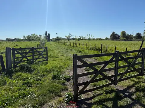 Venta - Campo en Gaynor - a Metros de ruta 8 - 23 has 100