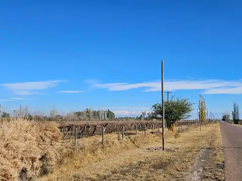La Juanita s/n