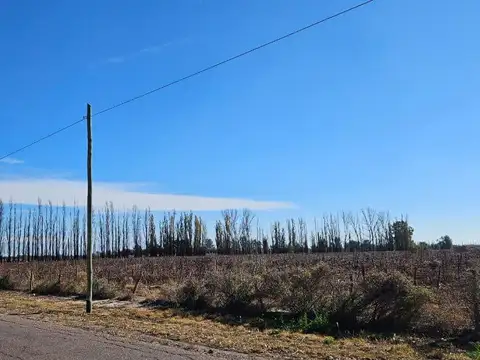 La Juanita s/n