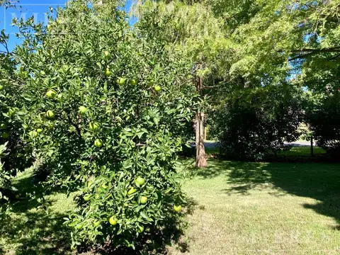 Terreno en Venta de 1039,0 m2