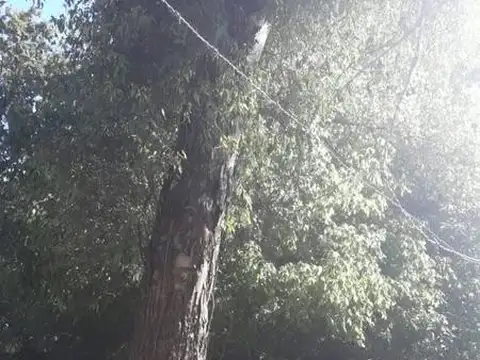 Terreno Fraccion en venta en Maschwitz  – MAROTO PROPIEDADES