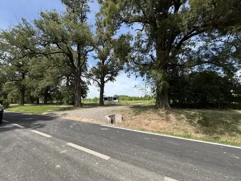 Terreno en Venta 17  mts Fondo