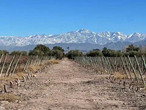 Terreno en Venta en Lunlunta, USD 40.000