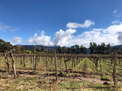 Campo en Venta de 112  ha