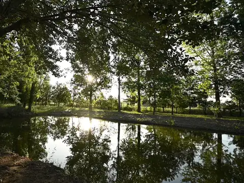 Pinares del Sur - Lotes 165/166