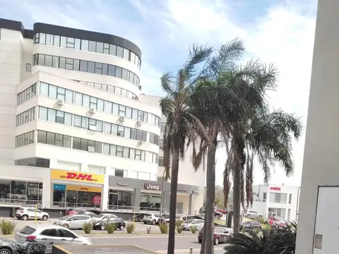 Estudios de Bahía grande