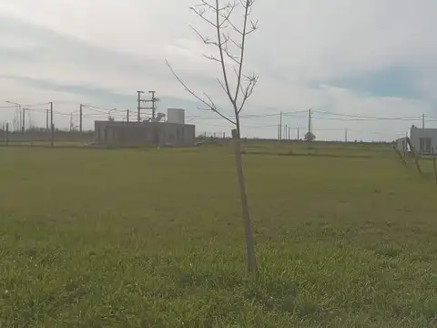 Terreno en Venta 14  mts Frente