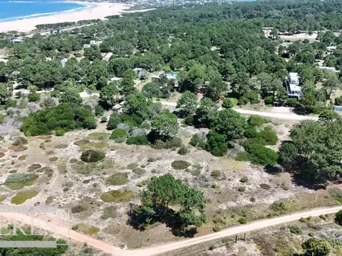 LA FAROLA 100