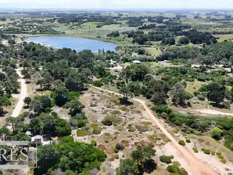 LA FAROLA 100