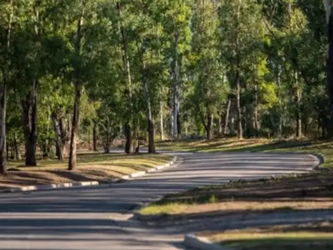 Terreno en Venta de 380,0 m2