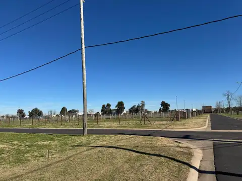 ADG. Lote en Nueva Zelaya 2