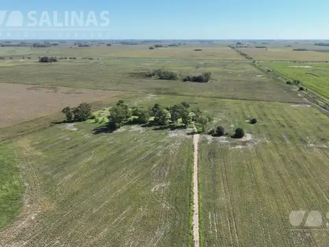 Campo Agrícola en Villa Ruiz