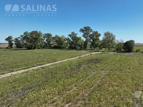 Campo en Venta Agrícola