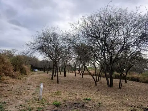 Ruta Nacional 34