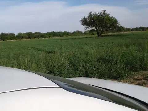 Ciudad Cruz del Eje 100