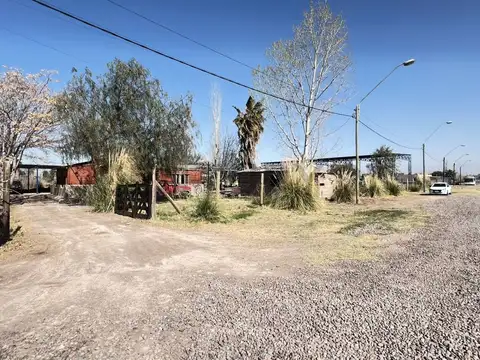 El Bosque