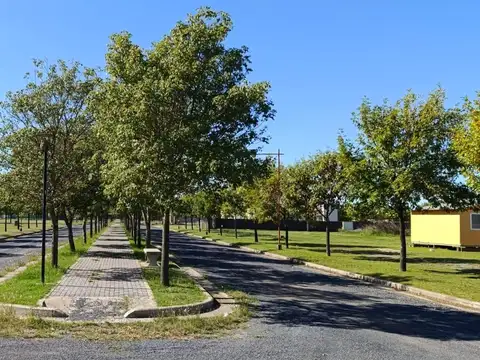 Terreno en Venta 17  mts Frente