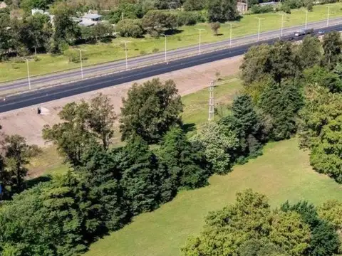 Camino Límite del Municipio S/N