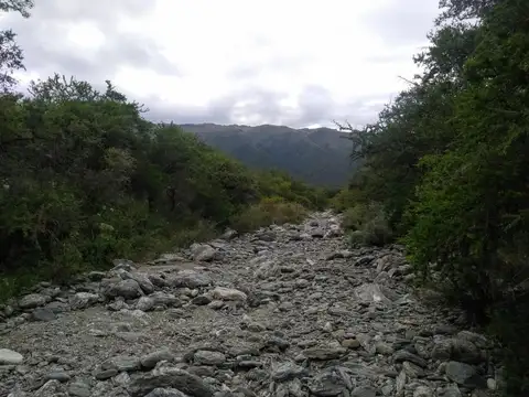 Campo en Venta de 1,50  ha
